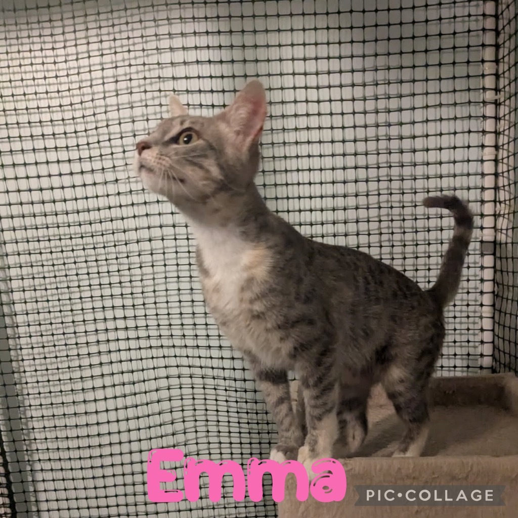 Emma