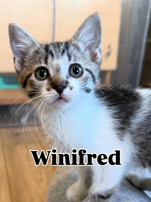 Winifred 4754