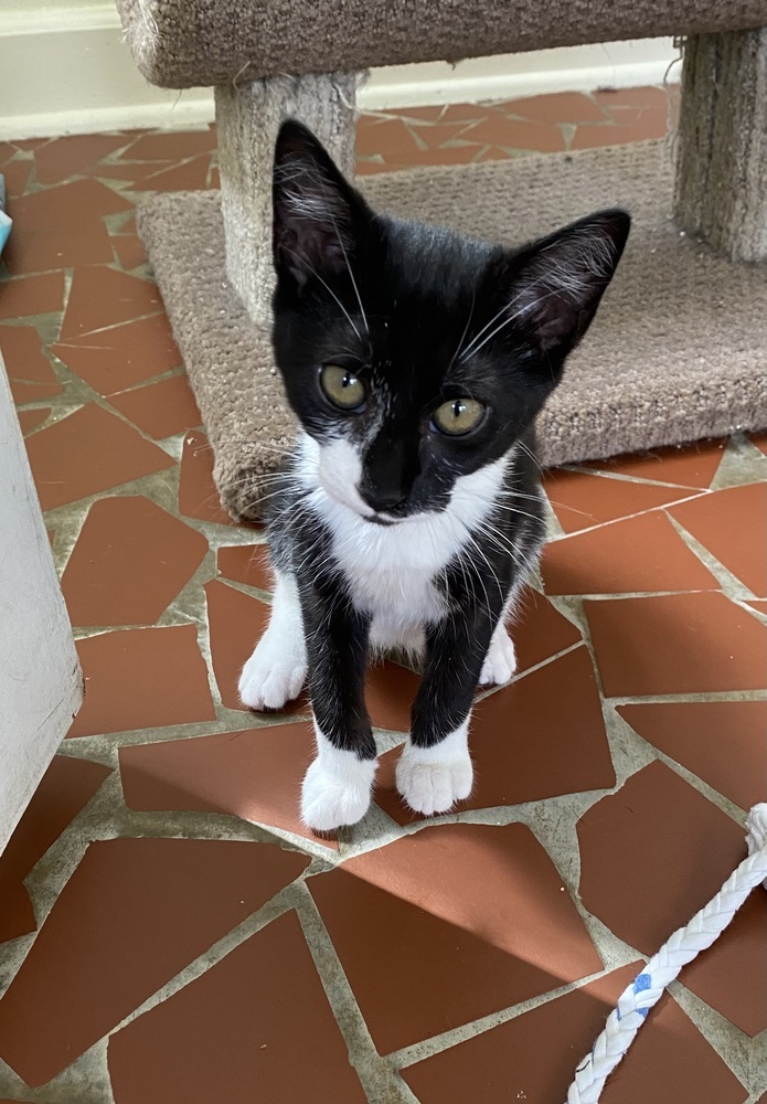Lucy