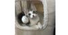 Muffy photo 1