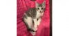 Muffy photo 2