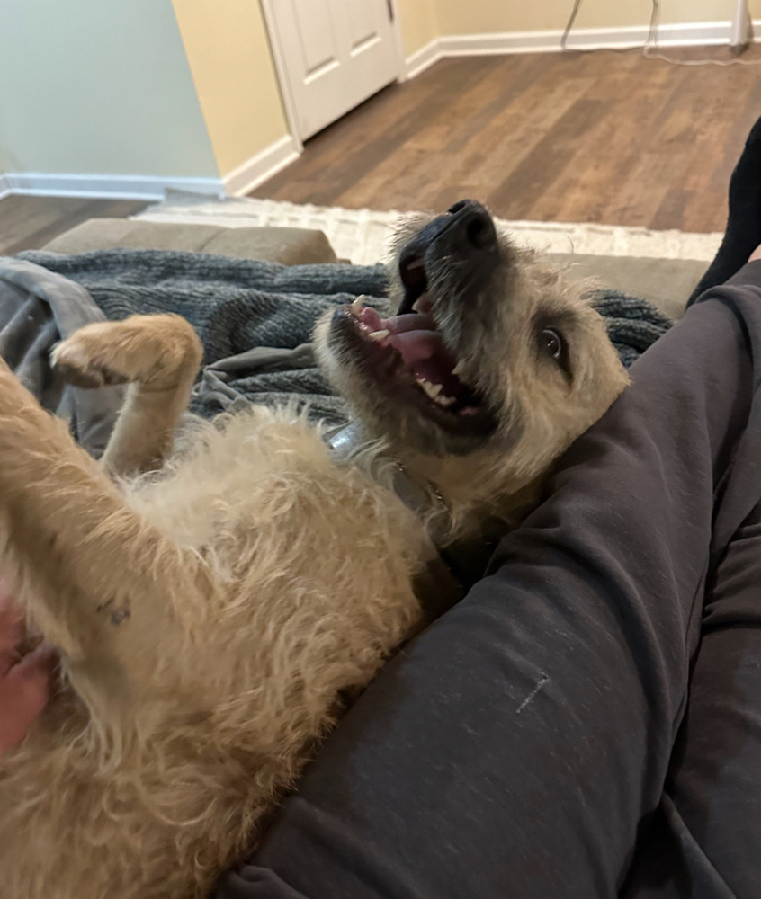 Nugget