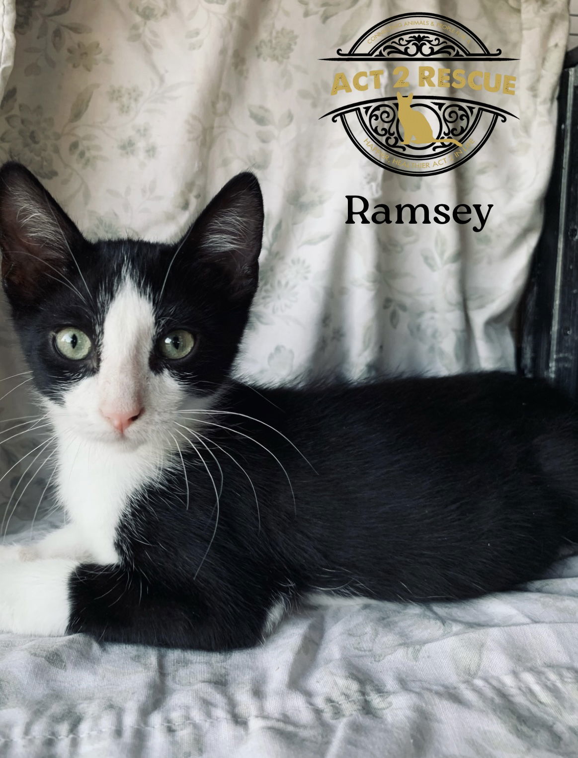 Ramsey