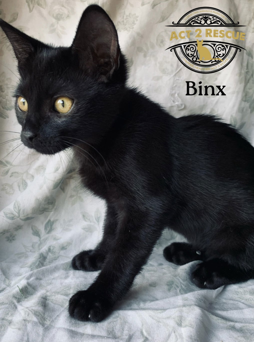 Binx