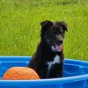 Tala photo 1