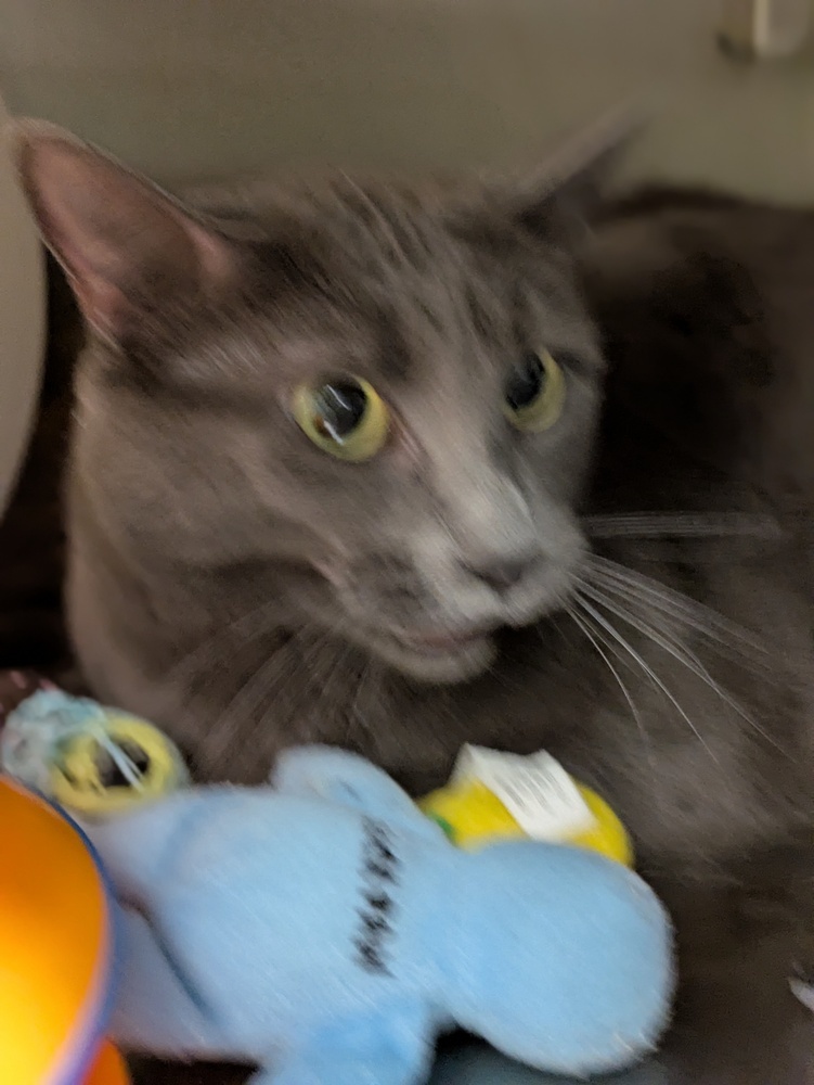 Luna