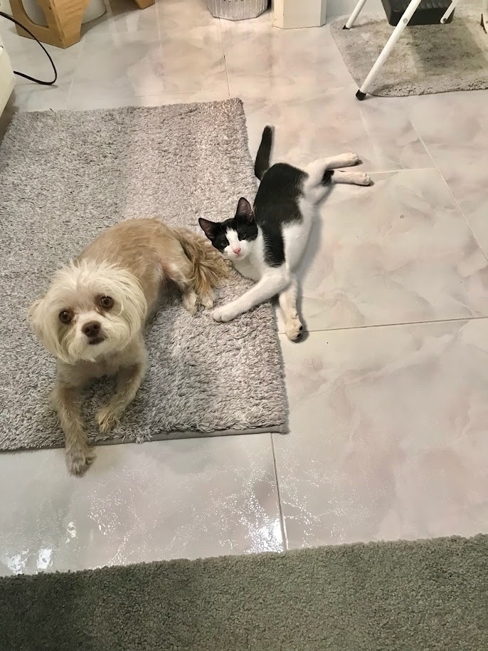 Boo