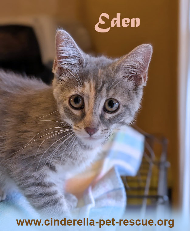 Eden