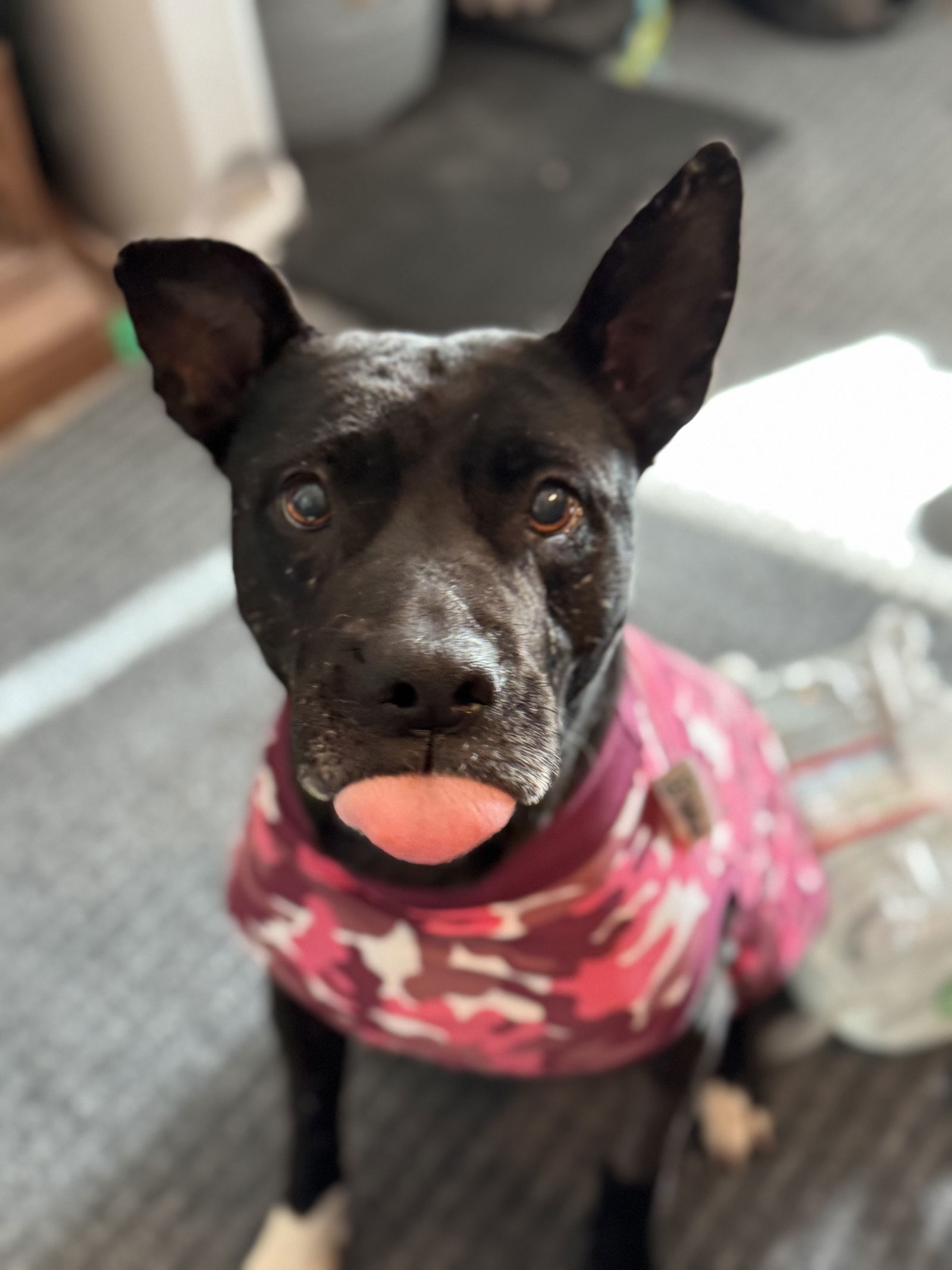 MAYA #5