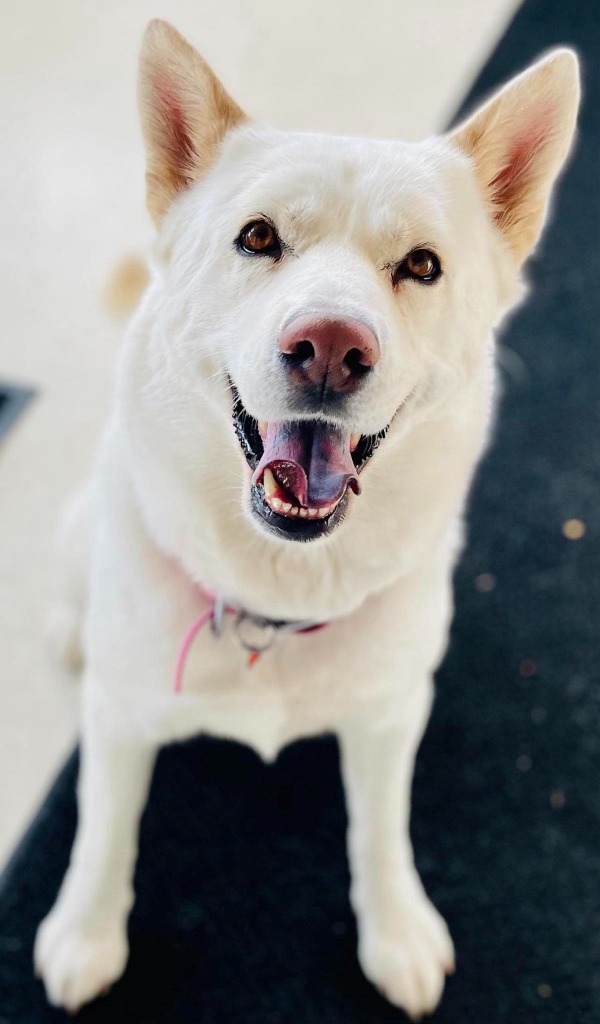 Bella