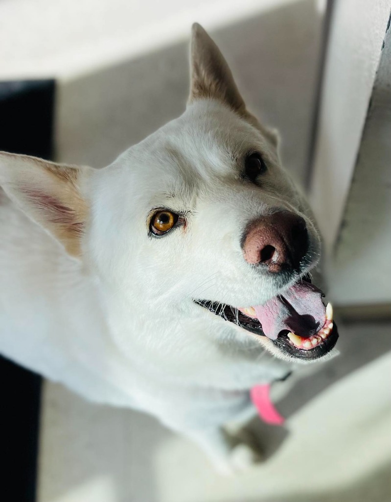 Bella