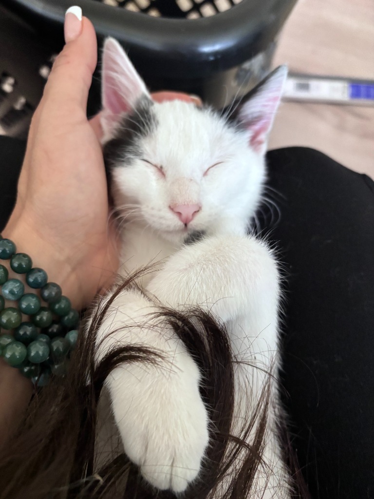 Zuko