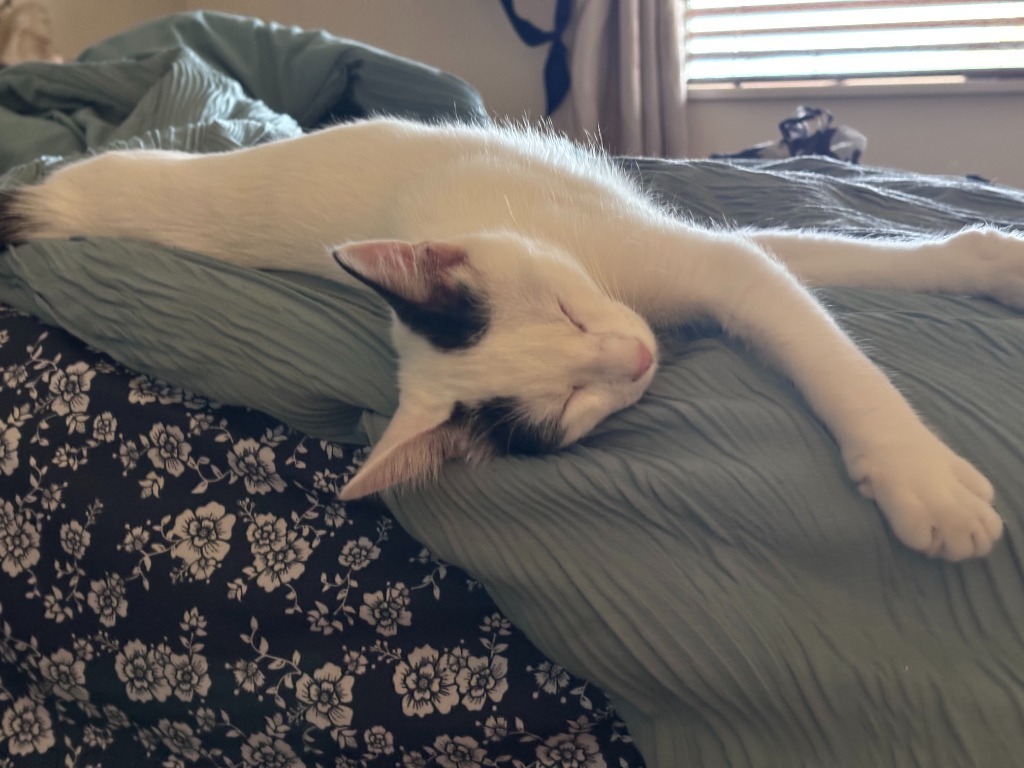 Zuko