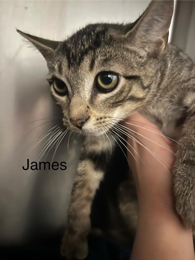 James