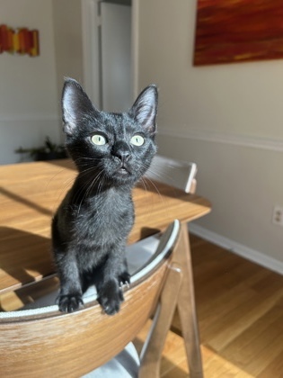 Fiyero
