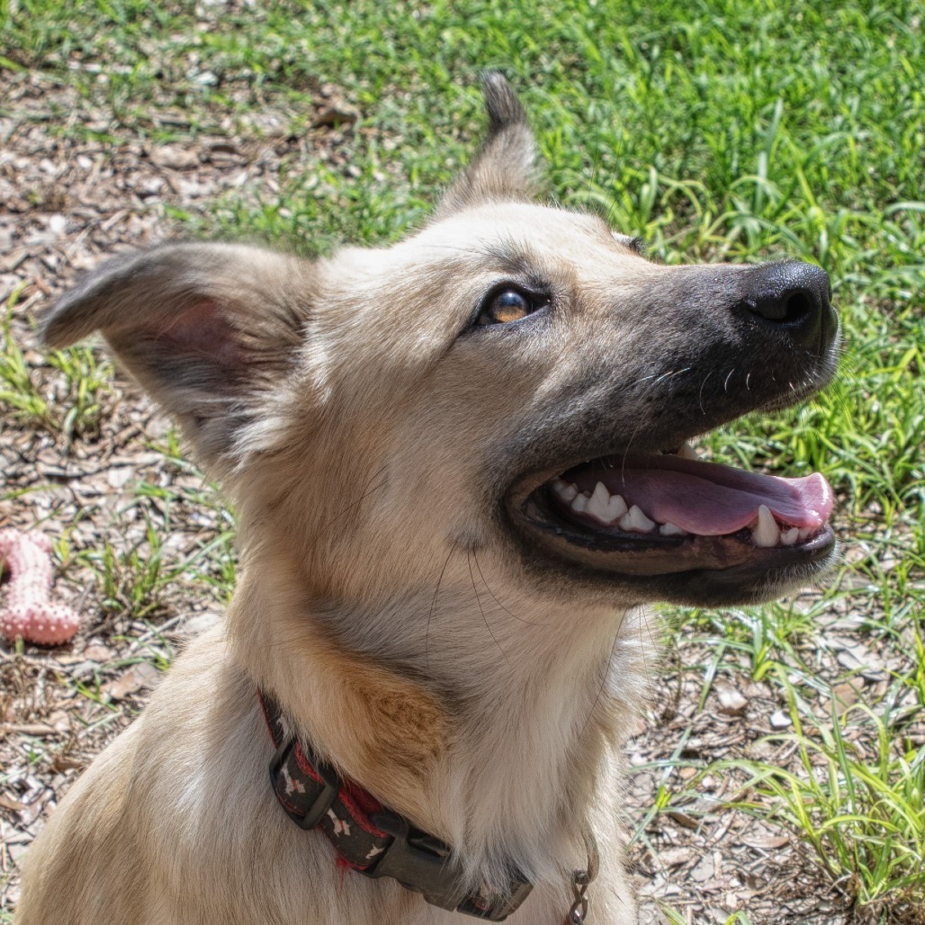 Sawyer