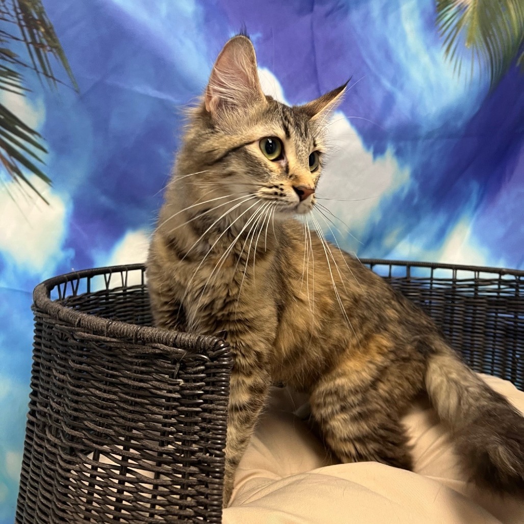 Luna