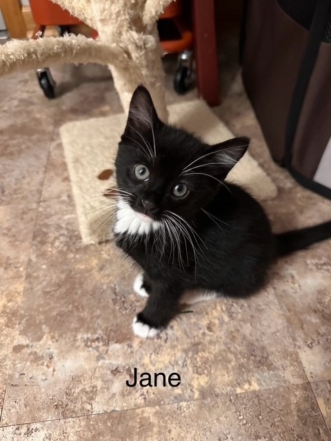 Jane