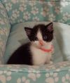 Beanz photo 1