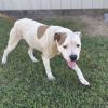 Daisy Duke photo 4