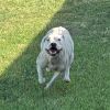 Daisy Duke photo 5