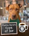 Mama Java photo 6