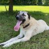 Peggy photo 5