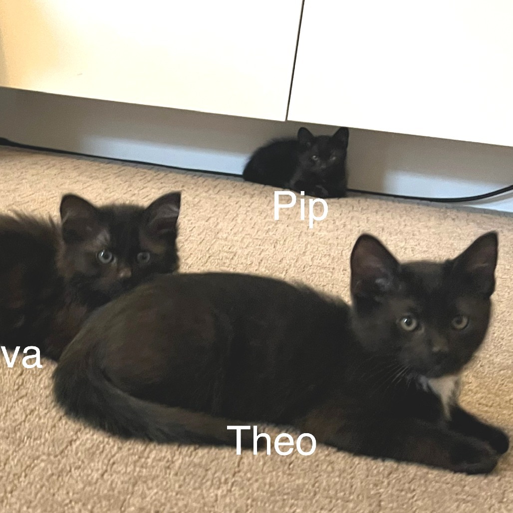 Theodore