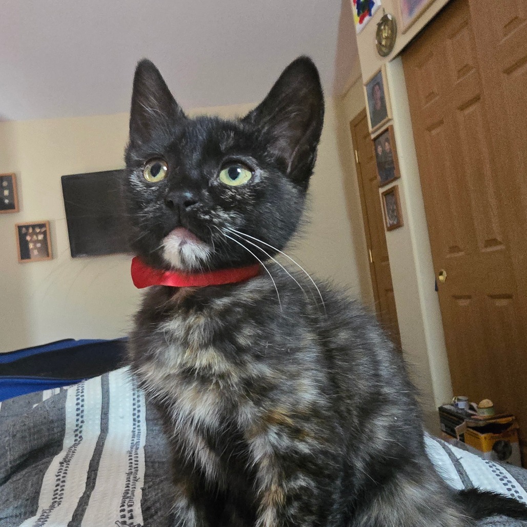 Nina