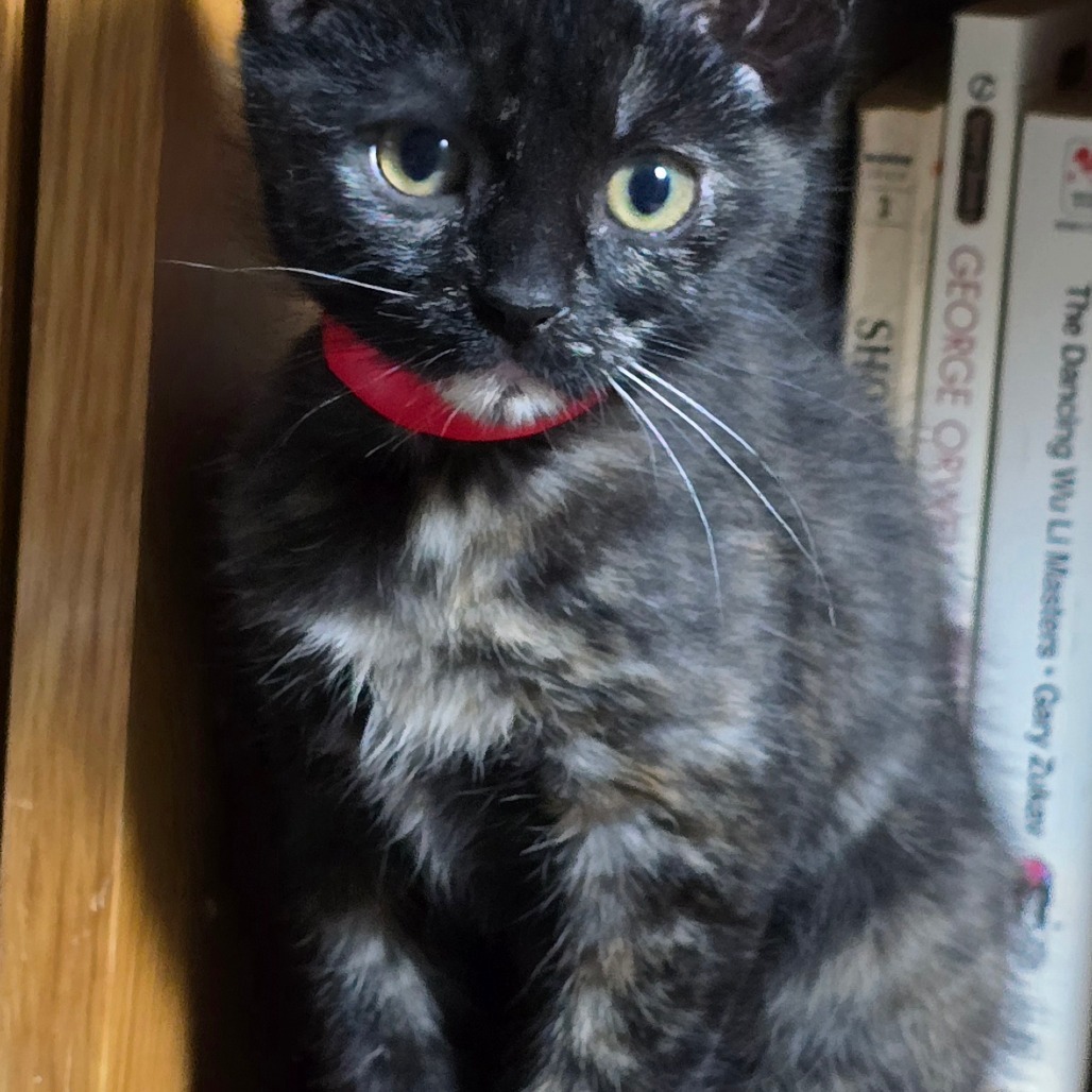 Nina
