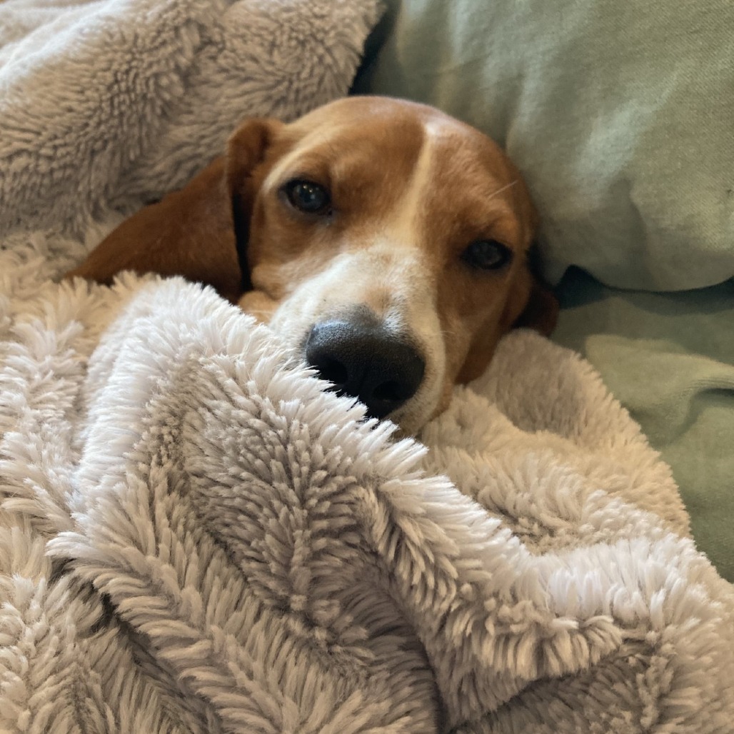 Delilah