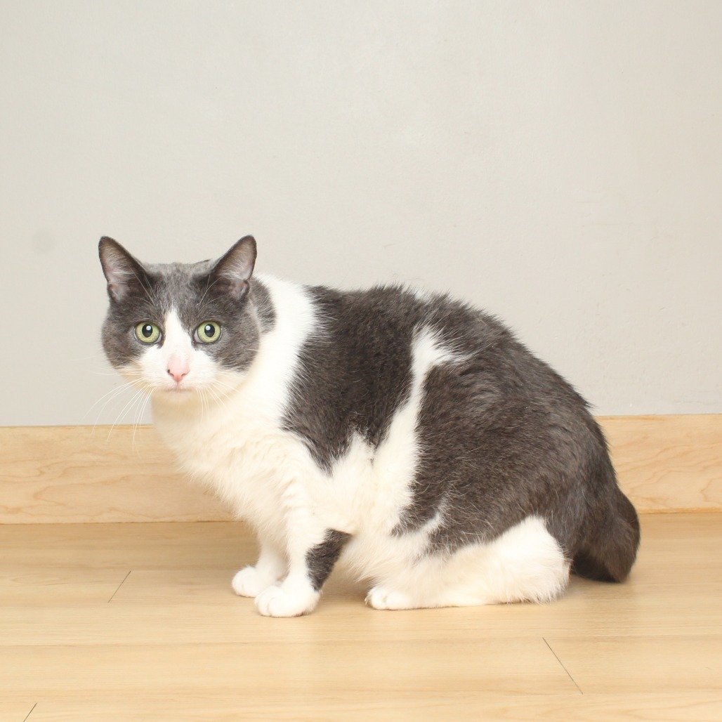 Buster C65347