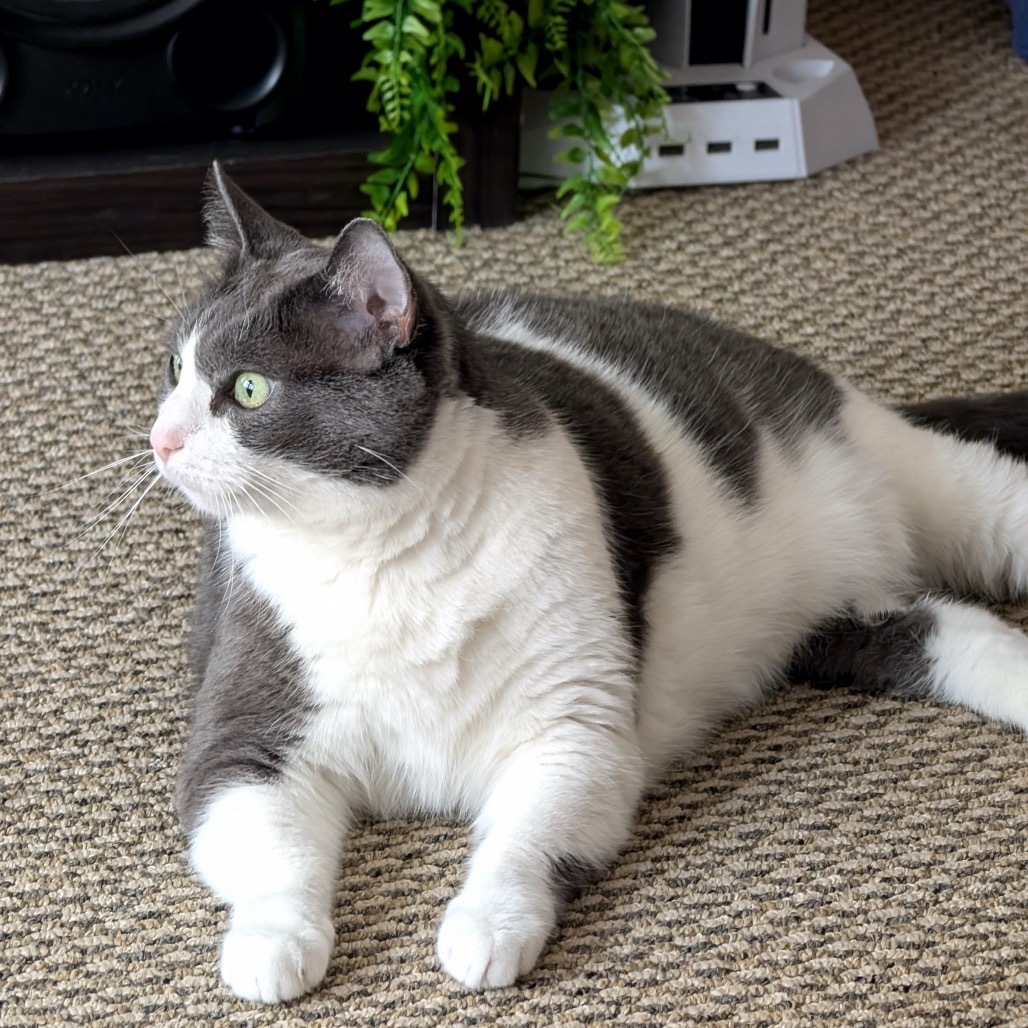 Buster C65347