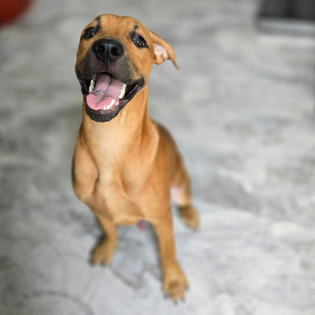Max