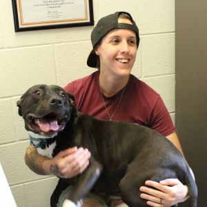 Baby Girl, Adult Female Mixed Breed