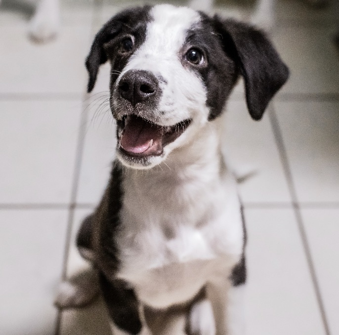 Hubert