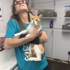 Kitty Purry