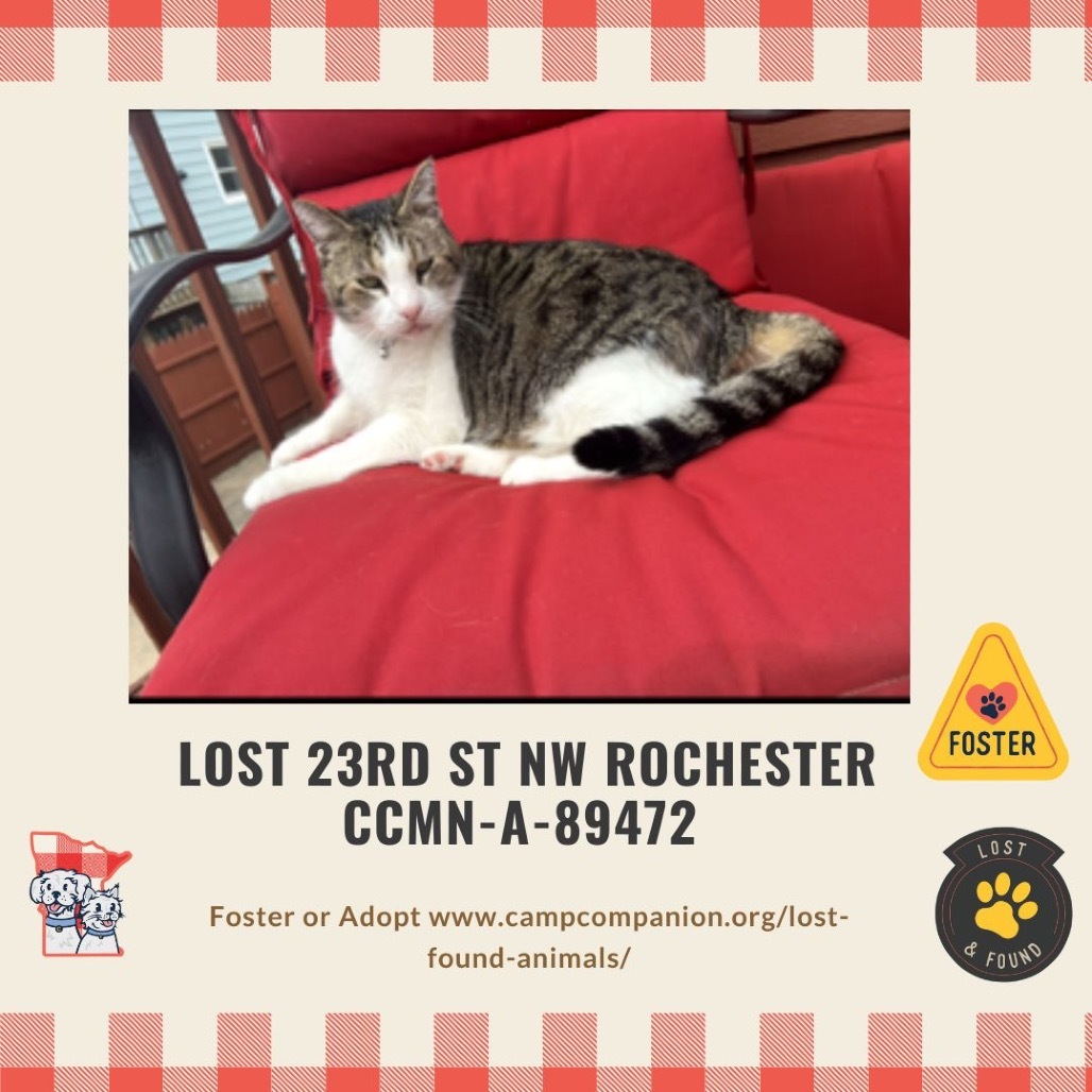 LOST - Booker