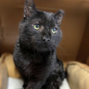 GC, Senior Male unknown
