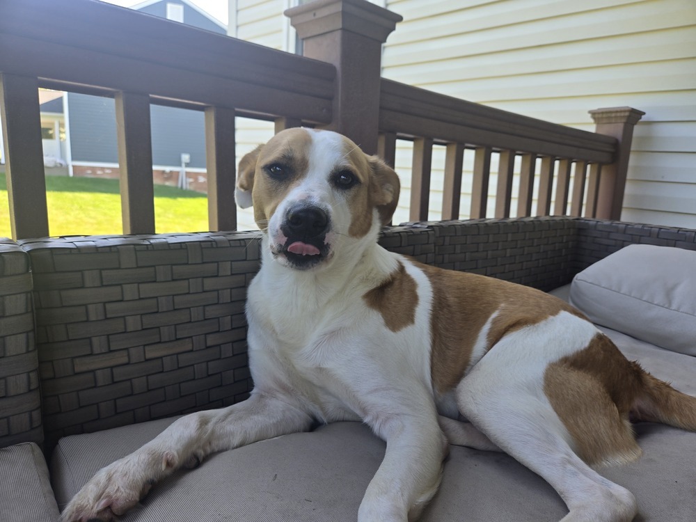 Benson