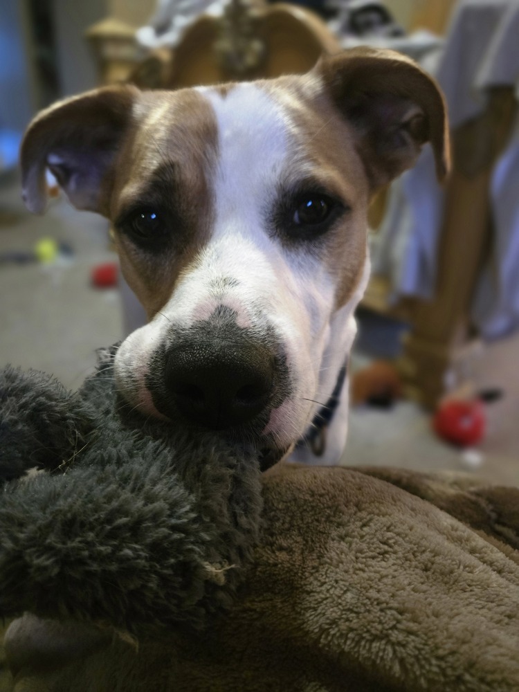 Benson