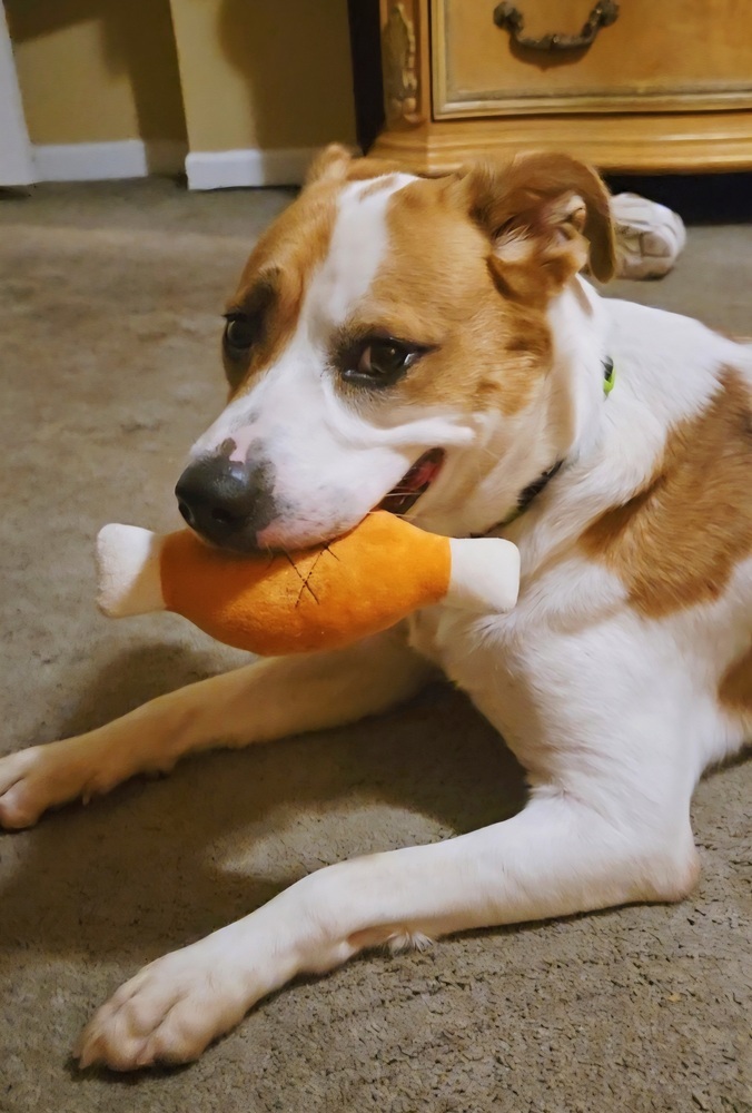Benson