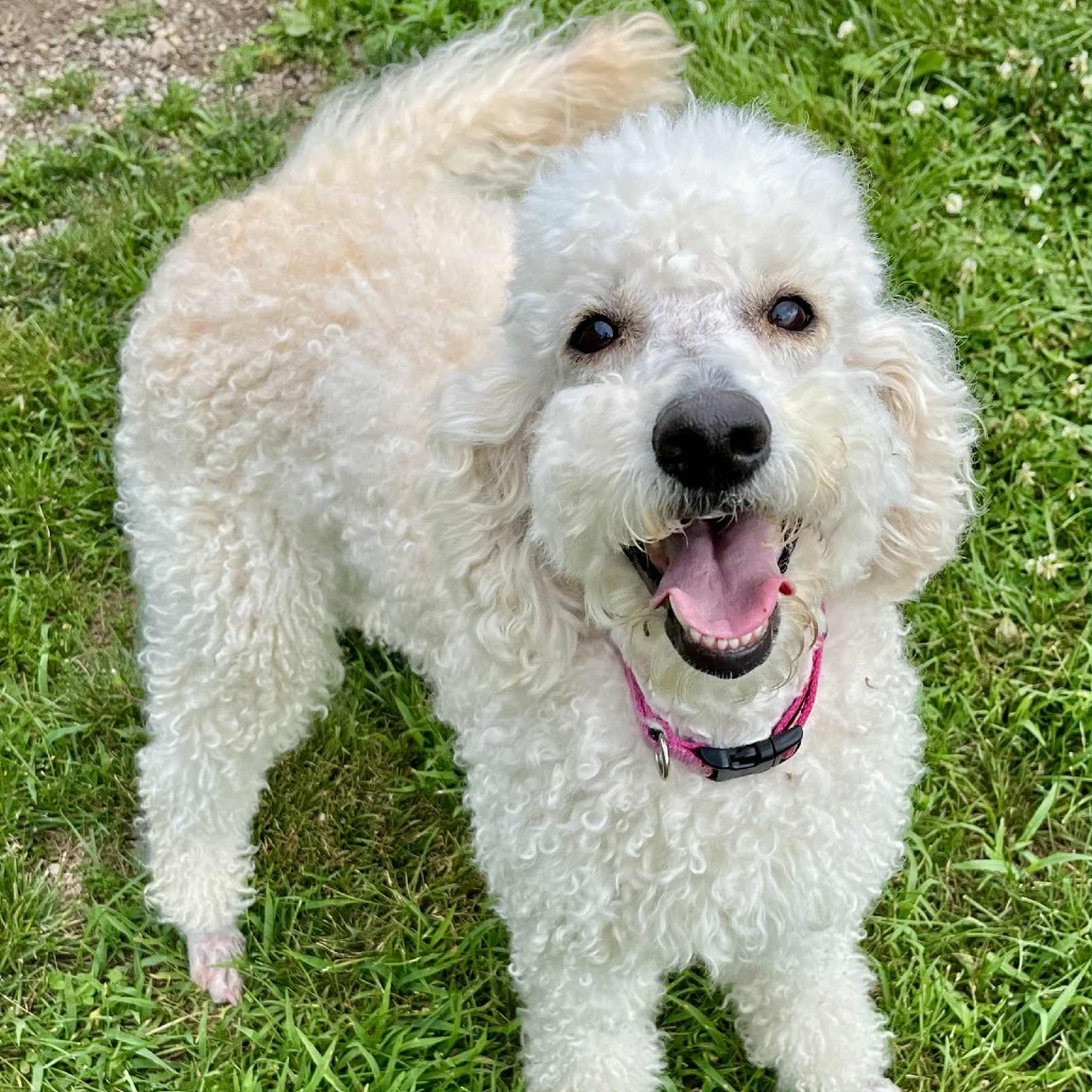Ellie Mae