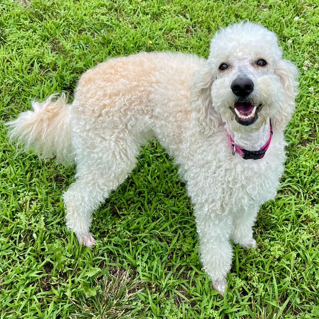 Ellie Mae