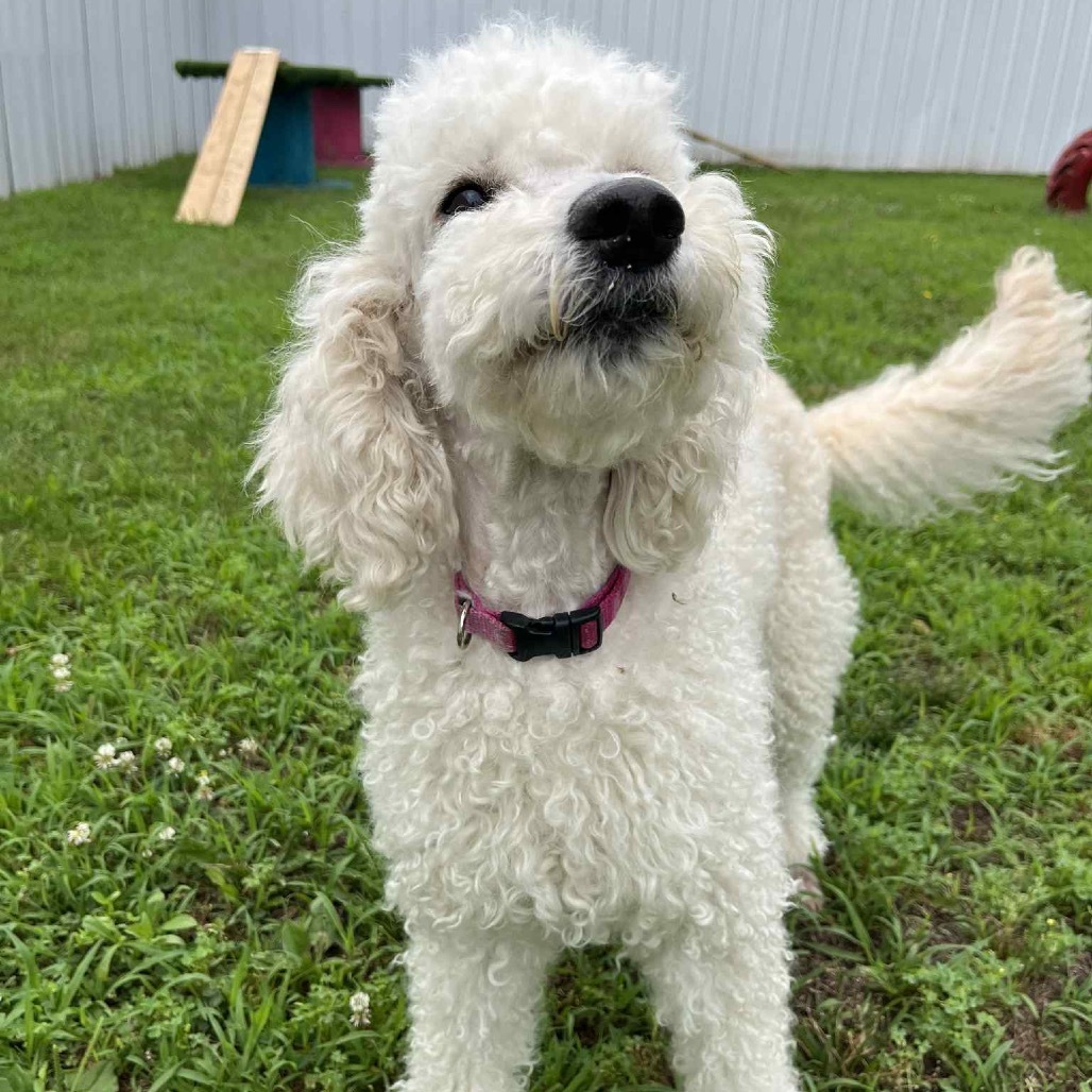 Ellie Mae
