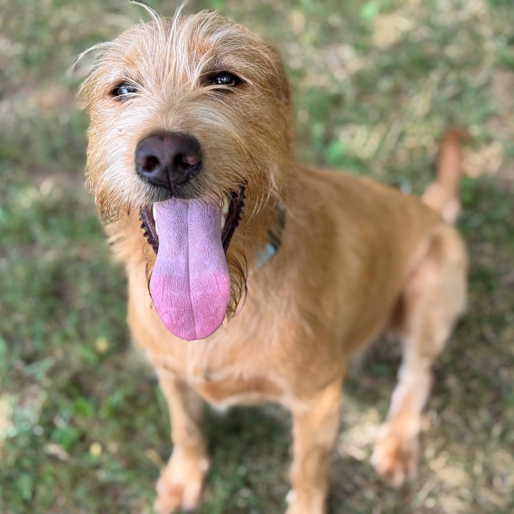 Winnie