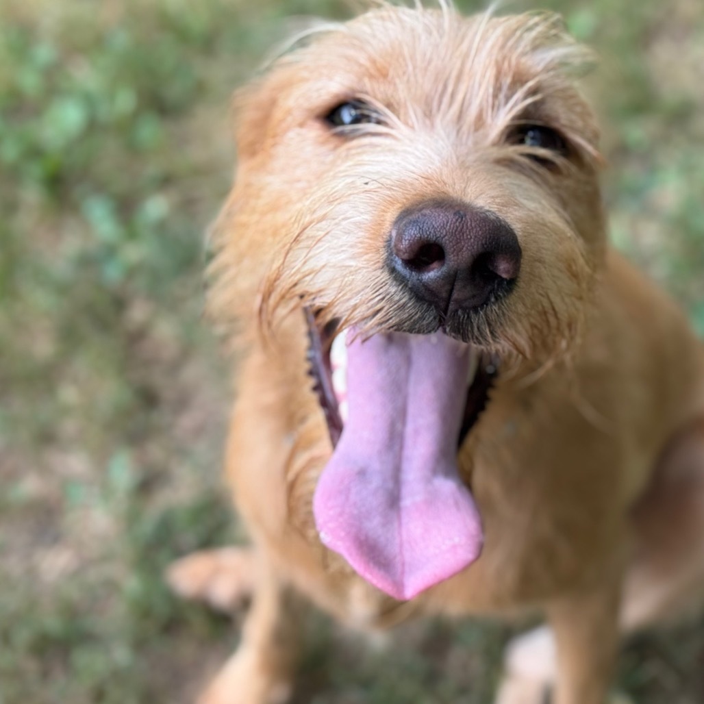 Winnie