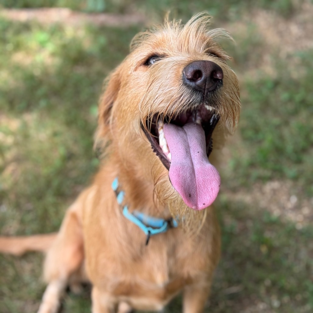 Winnie
