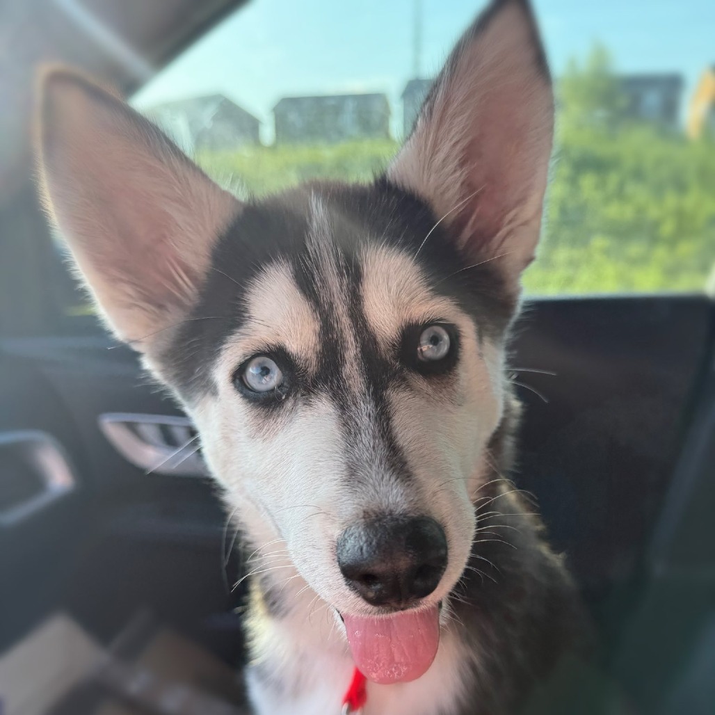 Kaiya