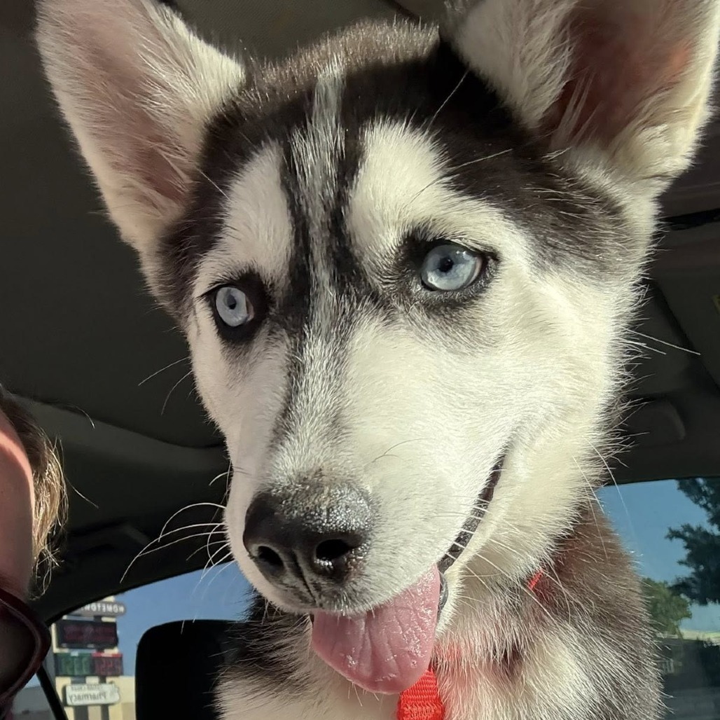 Kaiya